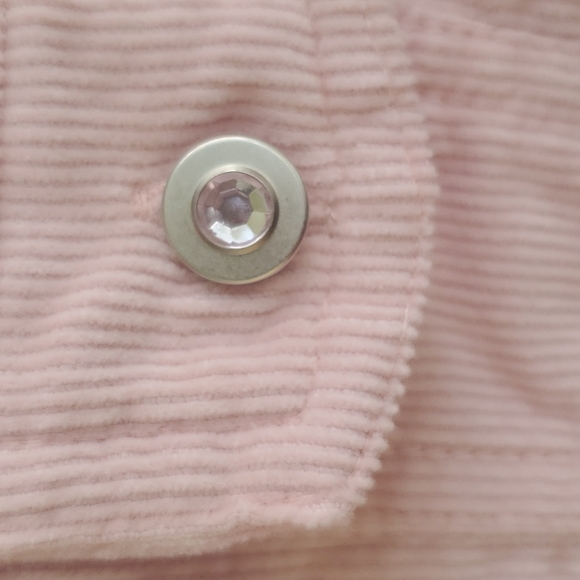 Pink Zebra jacket - Picture 3 of 11